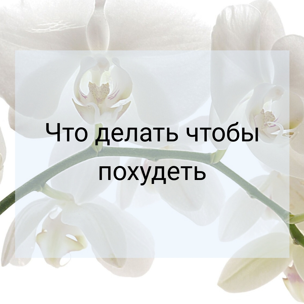 Что делать чтобы похудеть - разберитесь какие привычки приводят к перееданию.